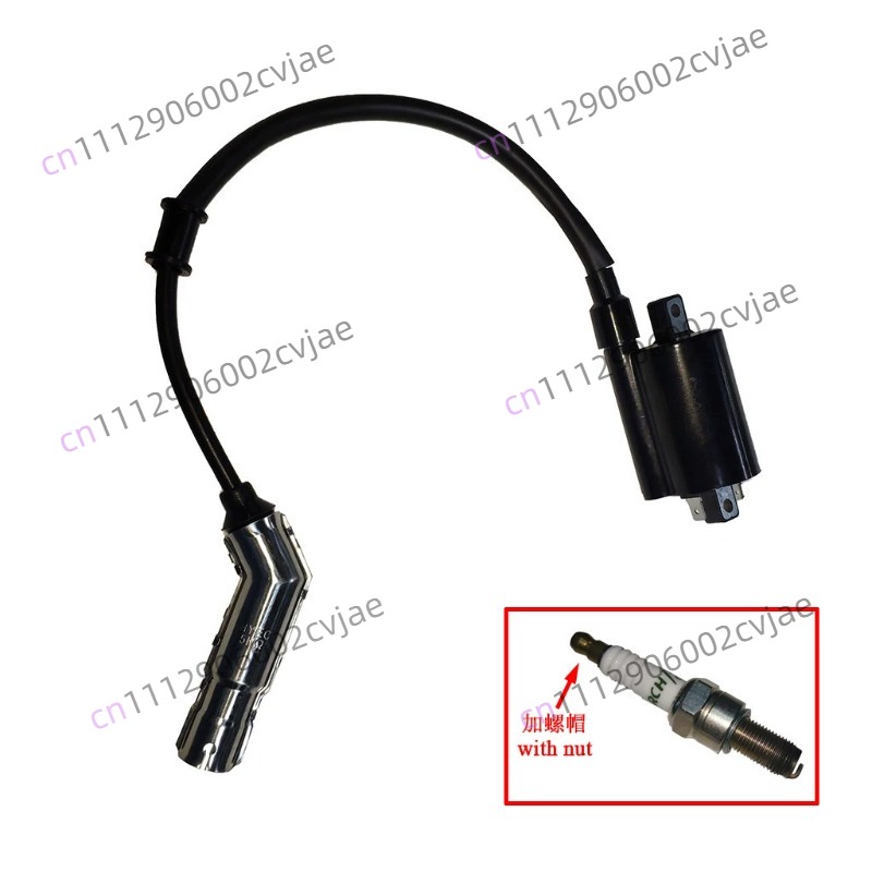 ZT310-V X T R1 2 Motosiklet Yü - Motorcycle Spark Plug incelemesi ve fiyatı